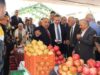 افتتاح مهرجان الرمان السابع عشر في إربد