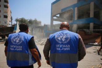 صورة حول : أونروا: مئات آلاف الفلسطينيين بلا مأوى وغزة تواجه أزمات صحية أونروا: مئات آلاف الفلسطينيين بلا مأوى وغزة تواجه أزمات صحية