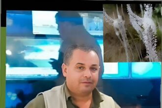 بريق الغيصلان