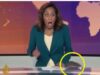 الجزيرة تكشف حقيقة فيديو "الفأر والمذيعة" وتوضح الأحداث ..فيديو