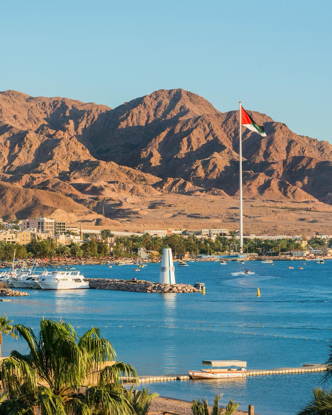 العبادي يكشف تفاصيل حادثة أبخرة مصنع العقبة