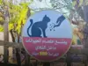 غرامة 500 دينار لإطعام الحيوانات في “مدينة الحسين للشباب” تُشعل غضب الأردنيين!