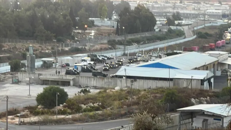إعلام الأسرى يكشف تفاصيل واستعداد استقبال المحررين من سجون الاحتلال