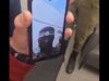 كيف نجحت القسام في إجراء "فيديو كول" من غزة إلى تل أبيب؟