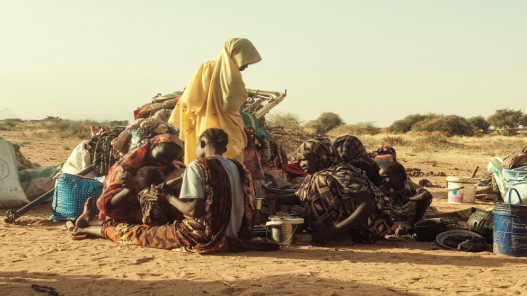 حين يتحوّل جلد البقر إلى طعام.. مأساة سودانية بصمت العالم