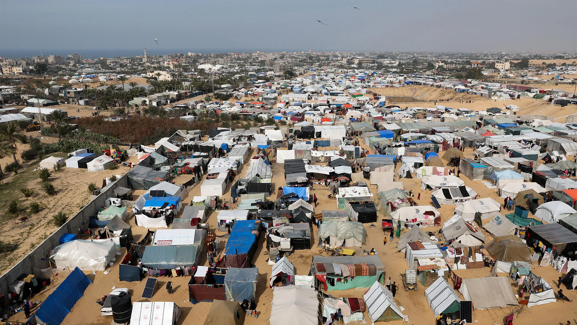 صورة حول : بلدية غزة تناشد المنظمات للتدخل فوريا بلدية غزة تناشد المنظمات للتدخل فوريا