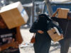 صورة حول : أطباء بلا حدود: إسرائيل تستخدم المساعدات كسلاح أطباء بلا حدود: إسرائيل تستخدم المساعدات كسلاح