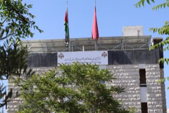 صورة حول : الأوبئة تؤكد: لا وجود لذبابة النمر الأسود بالأردن الأوبئة تؤكد: لا وجود لذبابة النمر الأسود بالأردن
