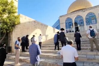 صورة حول : اقتحامات بالأقصى ومداهمات شديدة بالضفة الغربية اقتحامات بالأقصى ومداهمات شديدة بالضفة الغربية