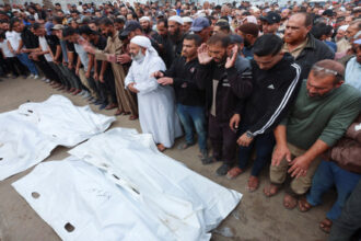 صورة حول : 104 شهداء حصيلة العدوان الإسرائيلي منذ ليلة أمس 104 شهداء حصيلة العدوان الإسرائيلي منذ ليلة أمس