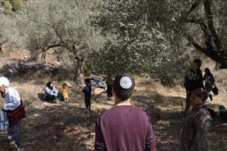 صورة حول : الأمم المتحدة: المستوطنون نفذوا 60 هجوما بالضفة الأسبوع الماضي الأمم المتحدة: المستوطنون نفذوا 60 هجوما بالضفة الأسبوع الماضي