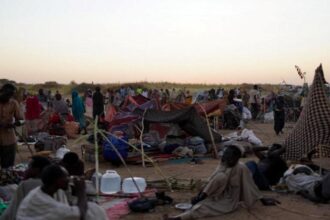 "الصحة السودانية": المنظومة الصحية في الفاشر تتعرض لتخريب متعمد