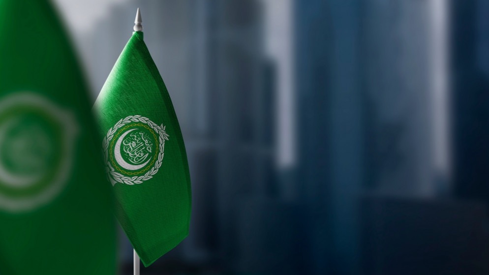 صورة حول : جامعة الدول العربية تدعو المجتمع الدولي لتكثيف الدعم الإنساني في غزة جامعة الدول العربية تدعو المجتمع الدولي لتكثيف الدعم الإنساني في غزة