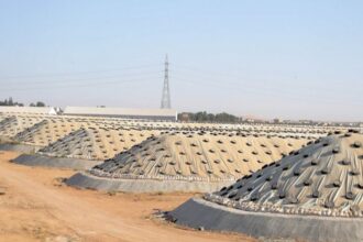 الأردن يرفع طاقته التخزينية من الحبوب إلى أكثر من 1.1 مليون طن