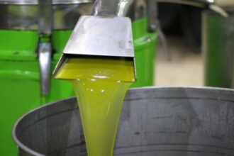 الزراعة: لا نسعّر زيت الزيتون.. واستيراد الزيت قريبًا