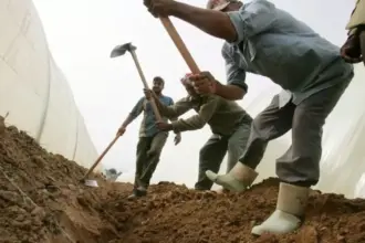 صورة حول : تسفير أكثر من 5 آلاف عامل مخالف خلال 9 أشهر تسفير أكثر من 5 آلاف عامل مخالف خلال 9 أشهر