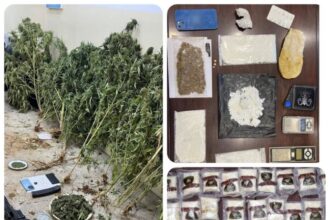 13 تاجرا للمخدرات في قبضة الأمن