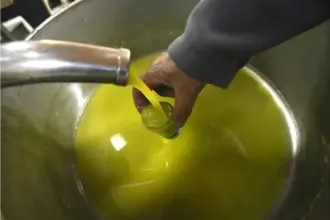 هام للأردنيين بشأن شراء زيت الزيتون